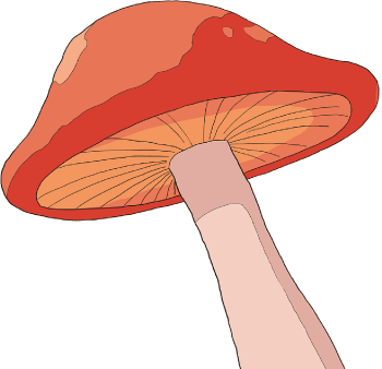 応用生命化学科